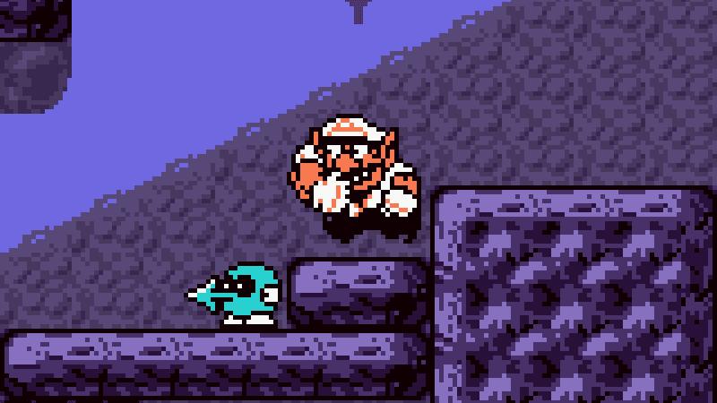 Wario Land 3.